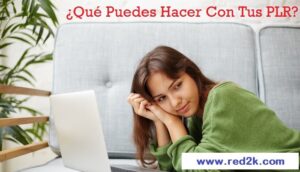 Qué Más Puedes Hacer Con Los Nuevos Artículos PLR